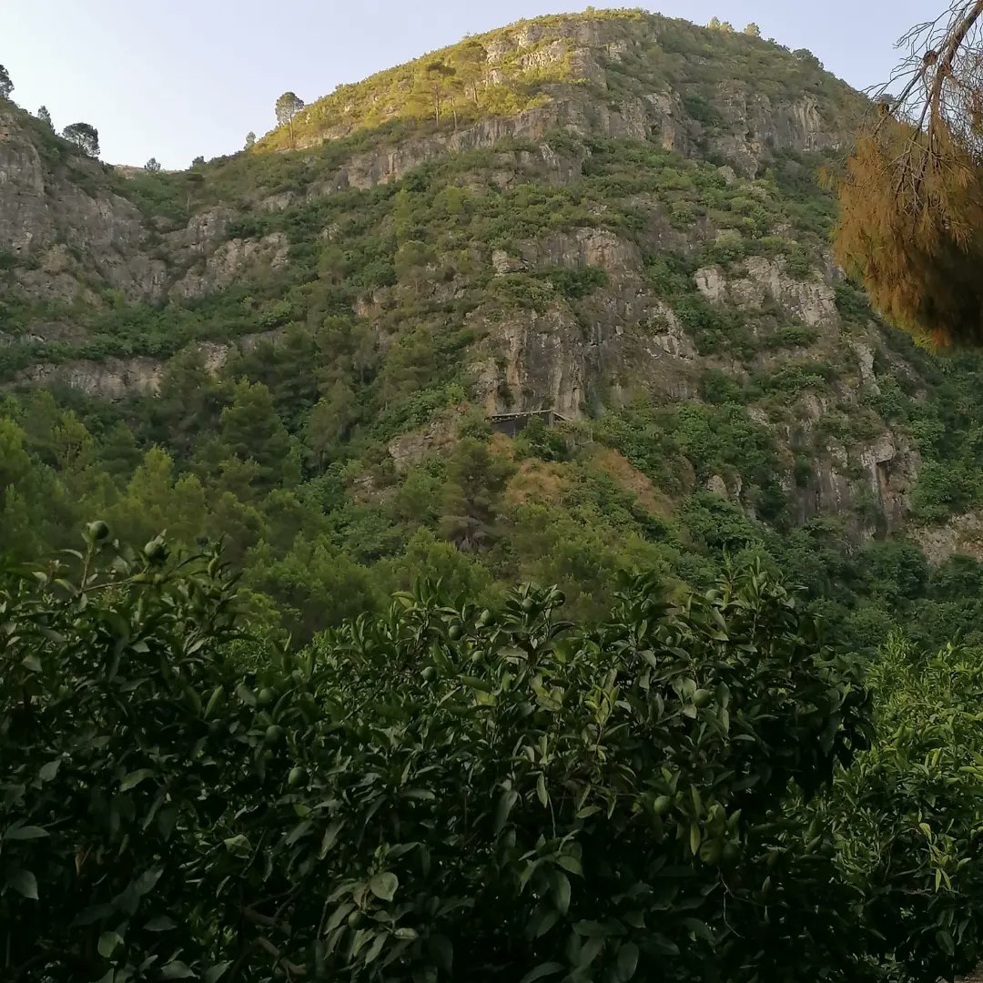 Fascinados con la grandísima cantidad de restos de fauna que estamos recuperando. Una vez más Bolomor demuestra su gran potencial. ¡Ánimo Equipo!