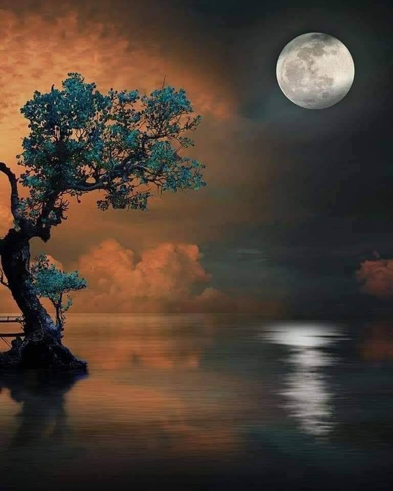 Peaceful night for all 🌙