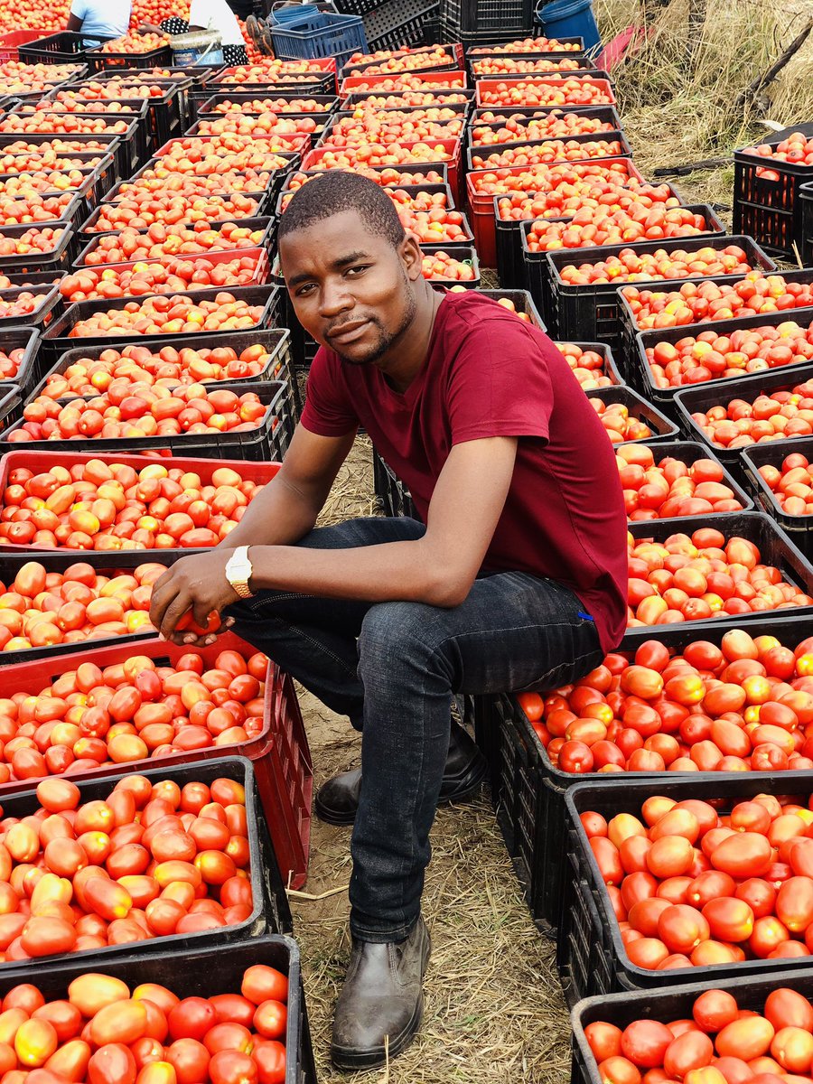 FarMerkiwa's tweet image. The things we wish do til death. We can feed the WORLD. Watch #youthsdoingitright @JohnDe90979343