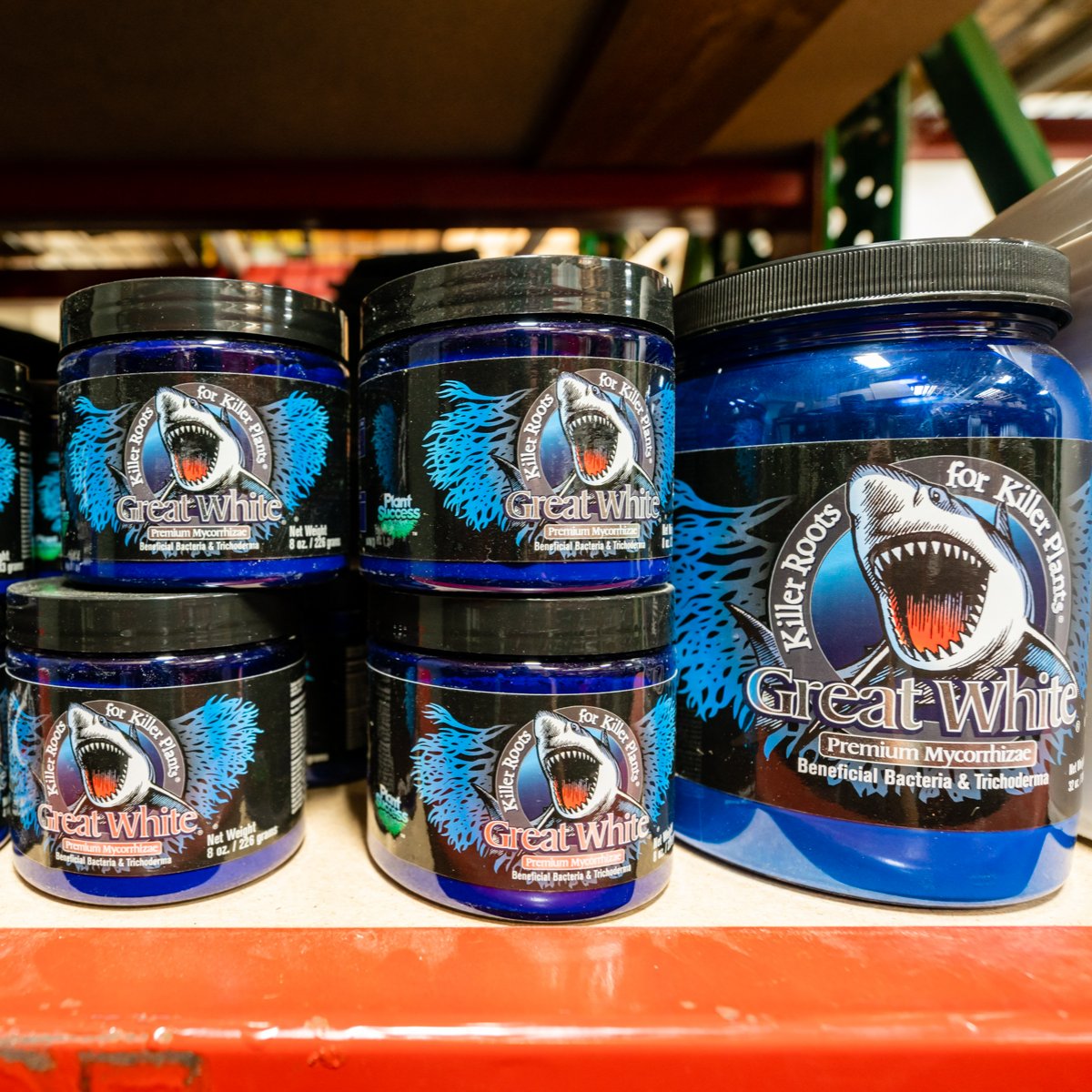 Hydro Zen on Twitter "No need to fear! This GreatWhite shark is sure