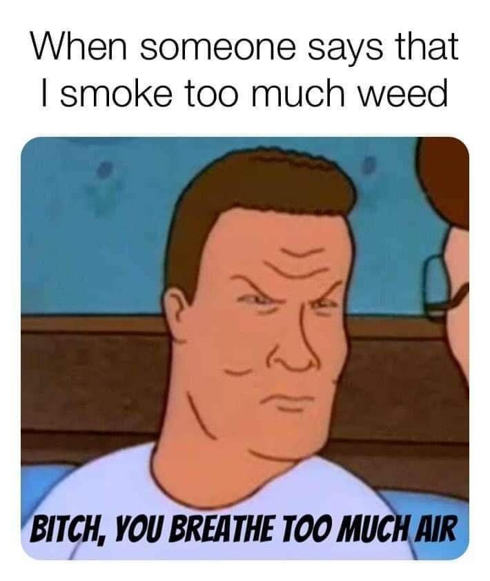 greenletternews's tweet photo. ๐๐
#420life #cannabis #weed #CannabisCommunity #StonerFam #420code #iamcannabis #MEMES https://t.co/8N20GNbd0F