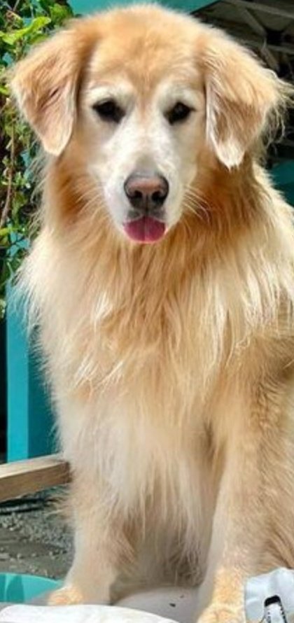 Venk Close-up tweet media