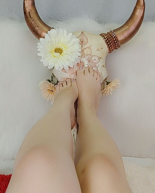 #feetfethish #feetupfriday do u like my feet?🥰😍 https://t.co/SOE4QEAFiJ<a href="/tag/feetfethish"class="tags">#feetfethish</a><a href="/tag/feetupfriday"class="tags">#feetupfriday</a>