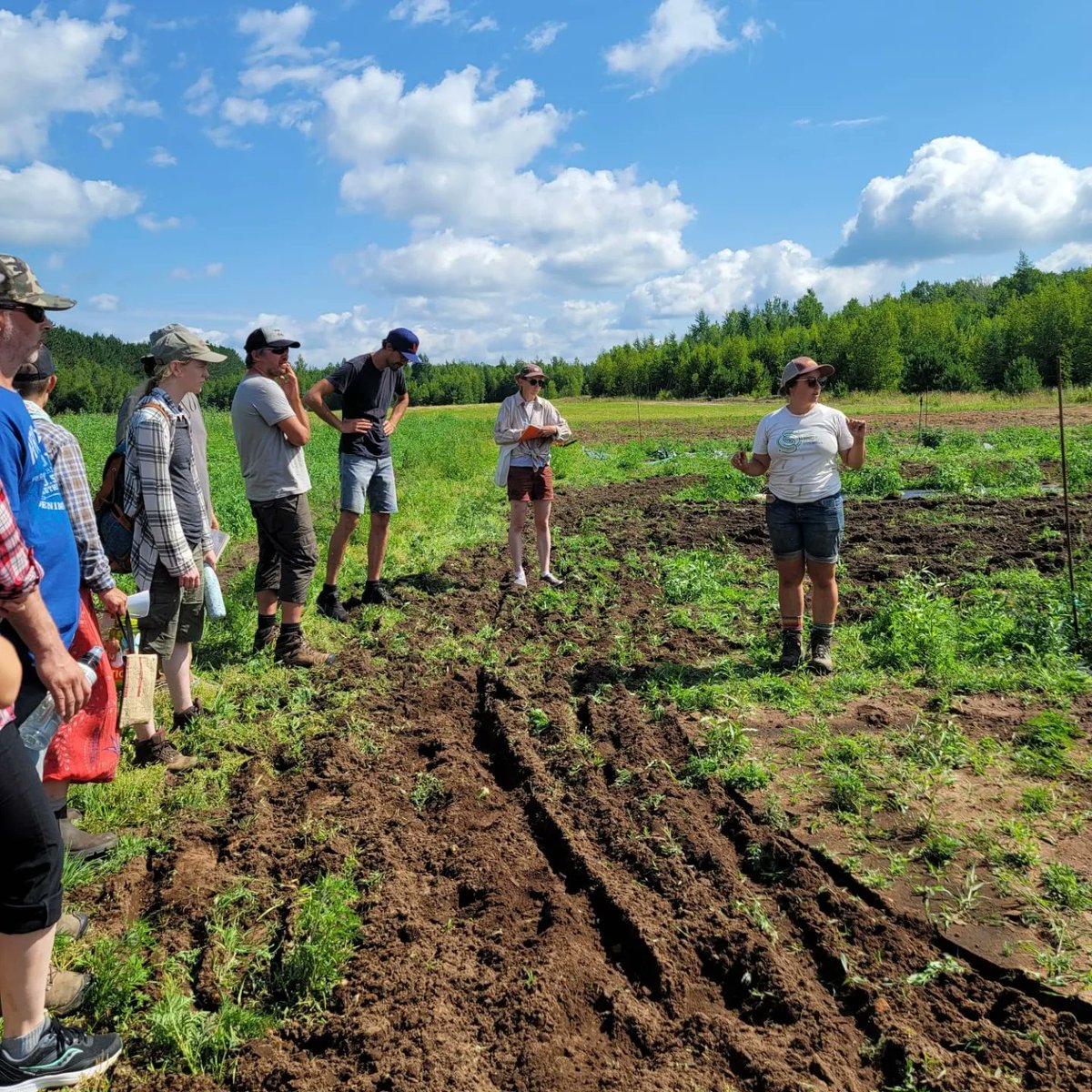 nfu_local340's tweet image. RT @am_amponsah: Had the privilege to tour Marie-claude farm this morning with my colleagues as part of #bauta&apos;s farm field days - in partnership with #AAFC
So much knowledge and passion for seeds.
#freetheseeds
#seedsovereignty 
#farmersrights
#weseedch…