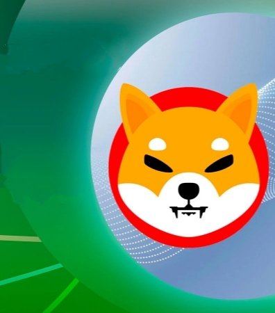 Shiba Inu is heading towards actual utility and use cases, and this is something which will make Shiba Inu Ecosystem much stronger in long term.

The Herald magazine recently called Shiba Inu top coin to explode in 2022.

💥💥💥💥💥💥💥💥💥💥💥💥💥💥💥💥