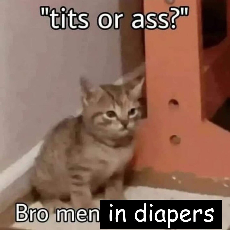 📝Cole🍁 tweet media