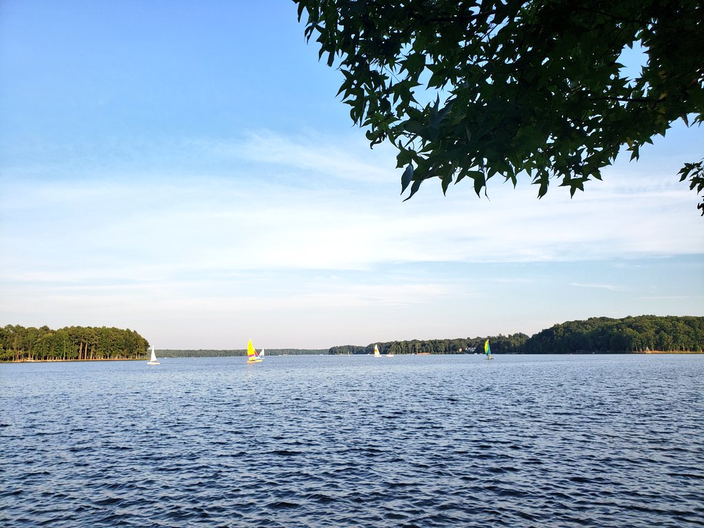 Lake Report: Summertime Friday night in the cove...
