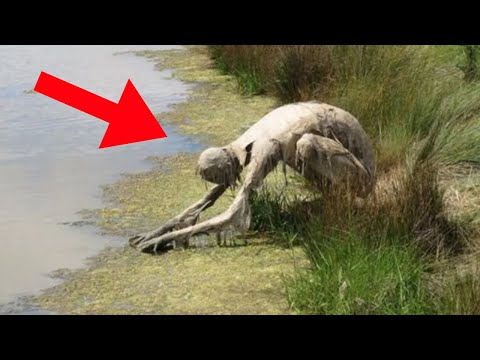ERSCHRECKENDE Dinge, die in Sümpfen gefunden wurden! | KORREKTER!
korrekter.com/erschreckende-…