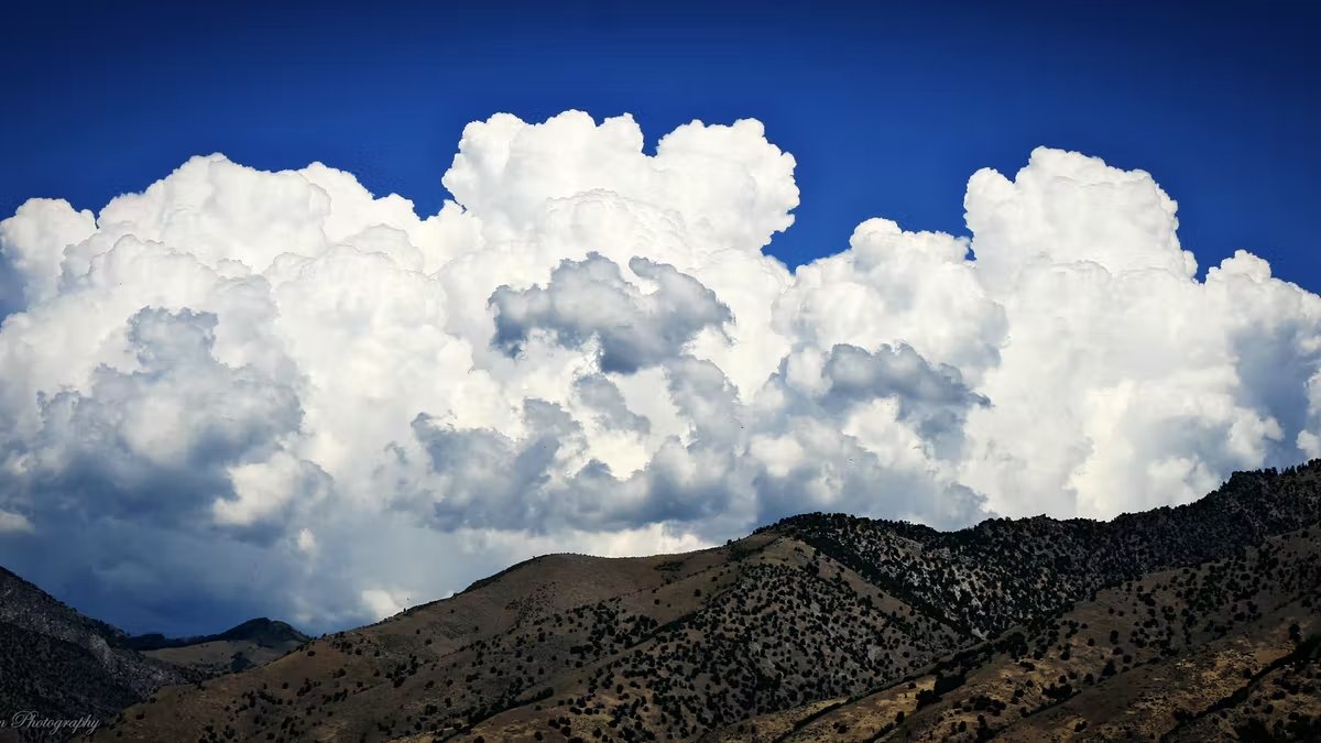 We see everyday an FrizzyCloud☁😎
#FrizzyClouds #NFT
