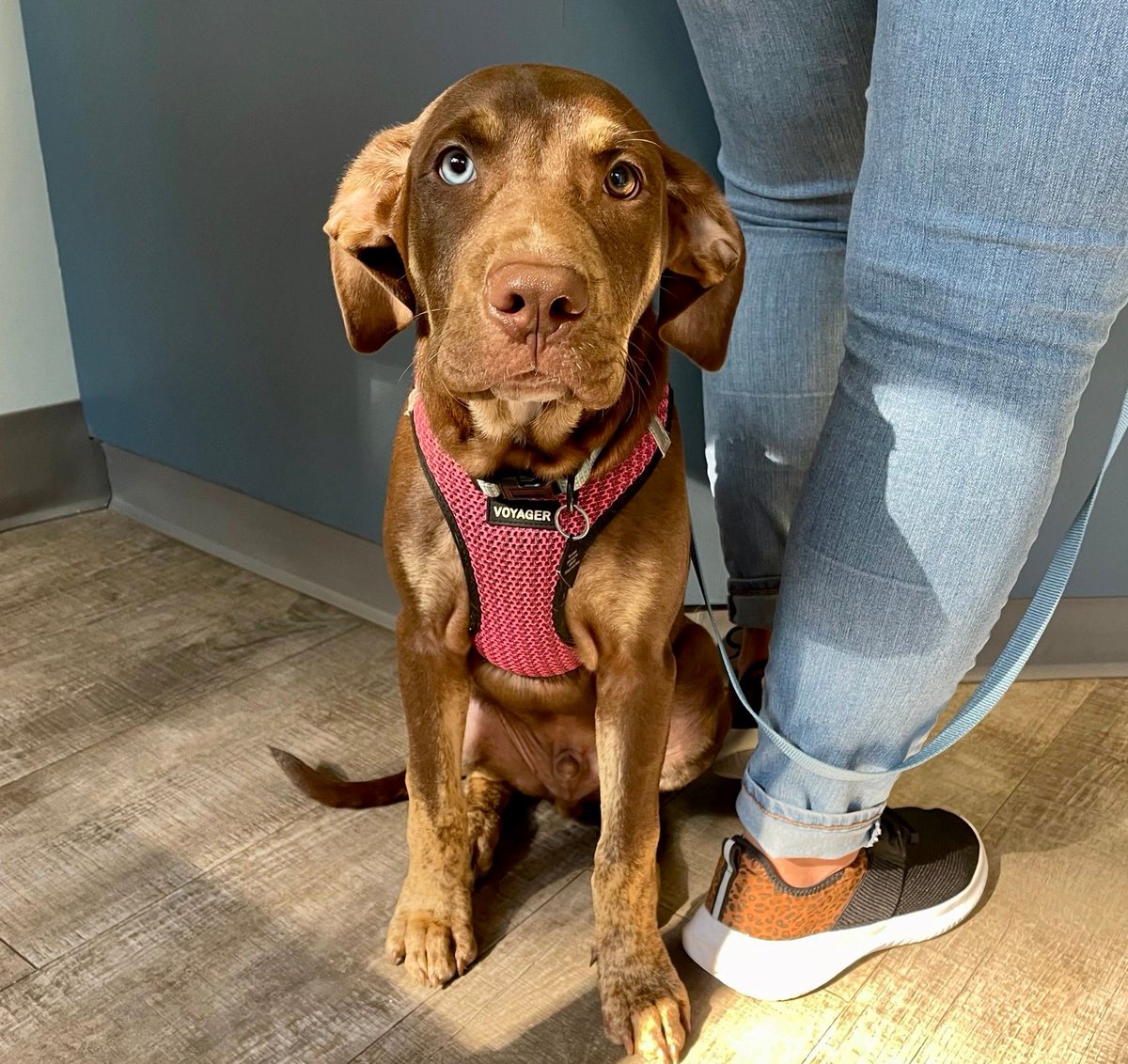 Happy Friday from Wrigley and your favourite VCA Canada team!