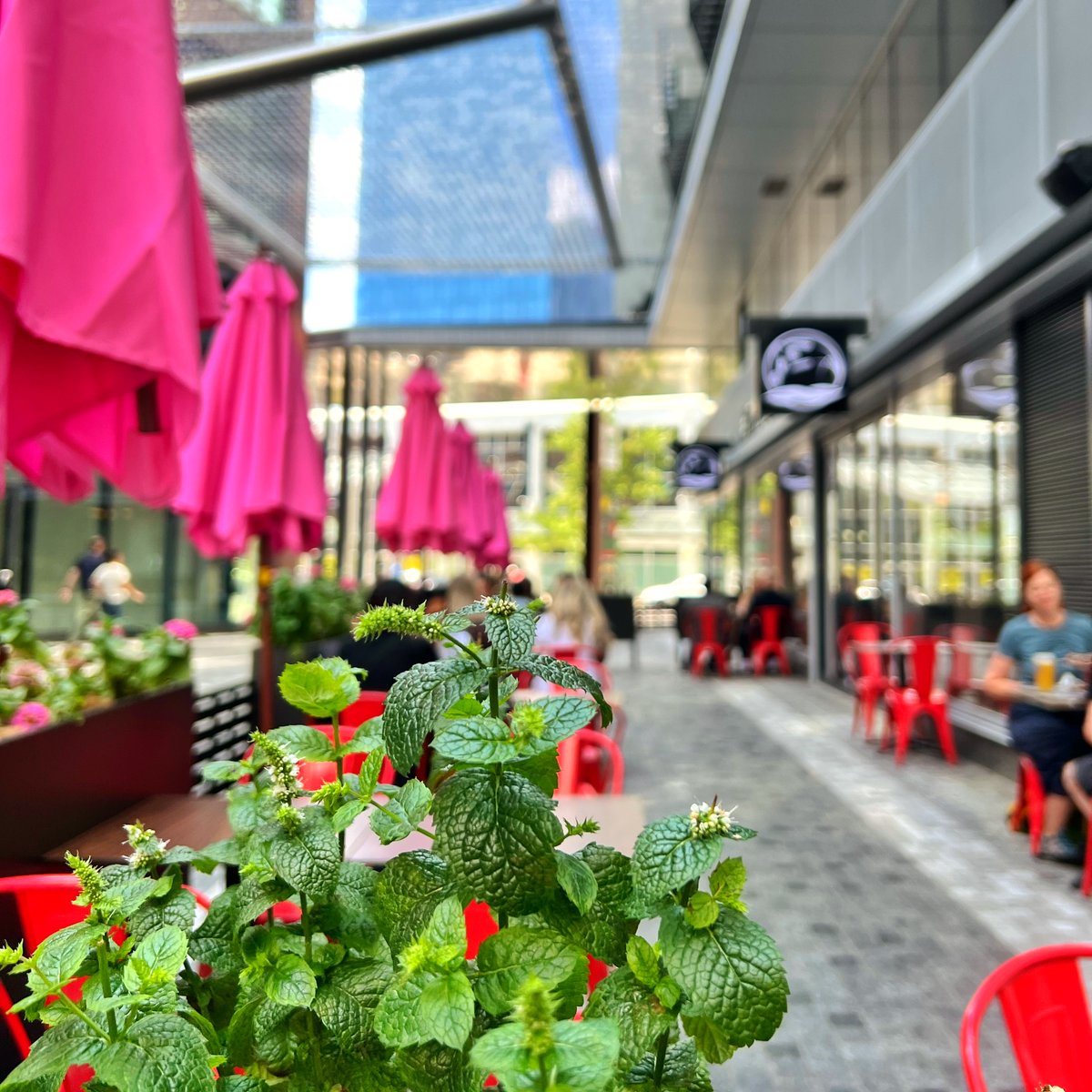 Patio O'Clock!

#FreshGLB #TorontoPatios