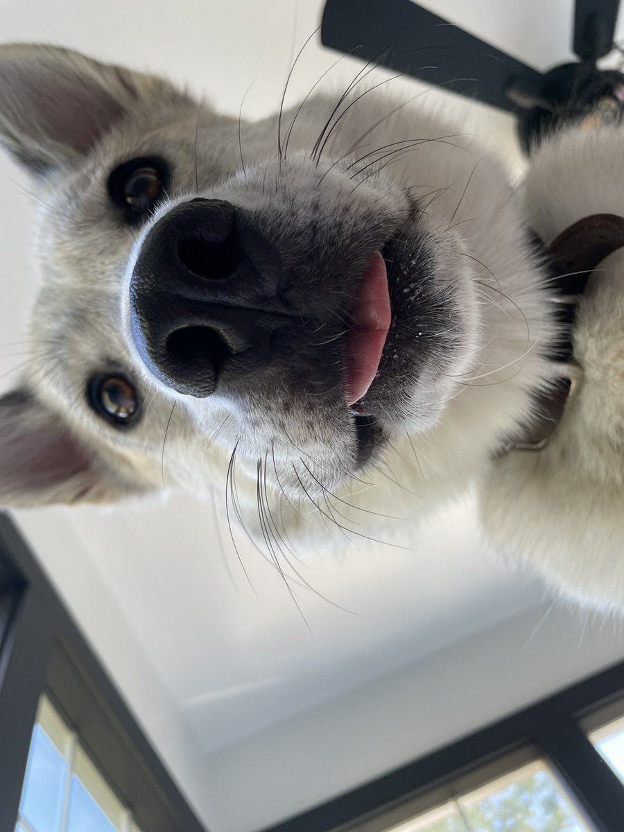 “Got any games?”