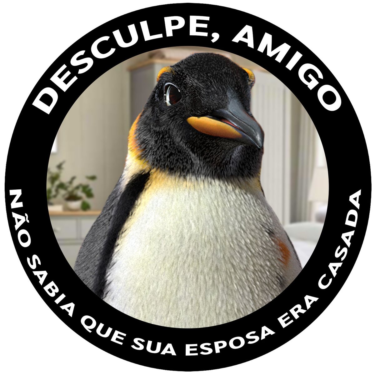 Pontofrio 🐧 tweet media