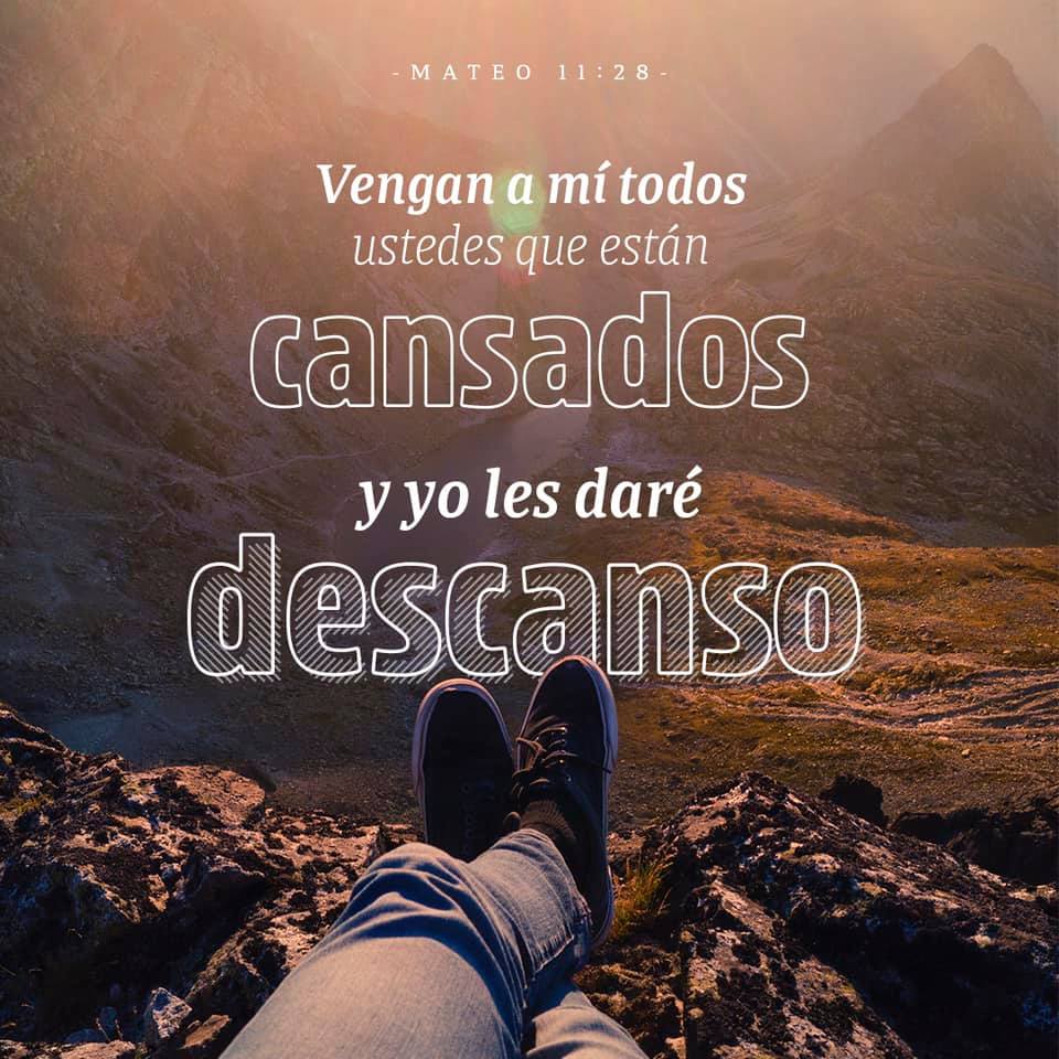 Dios te renueva 🔄. #felizsábado