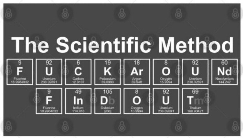 JoeSteelerFan's tweet image. Today’s lesson … #FAFO at your own risk!  #LearningMoment