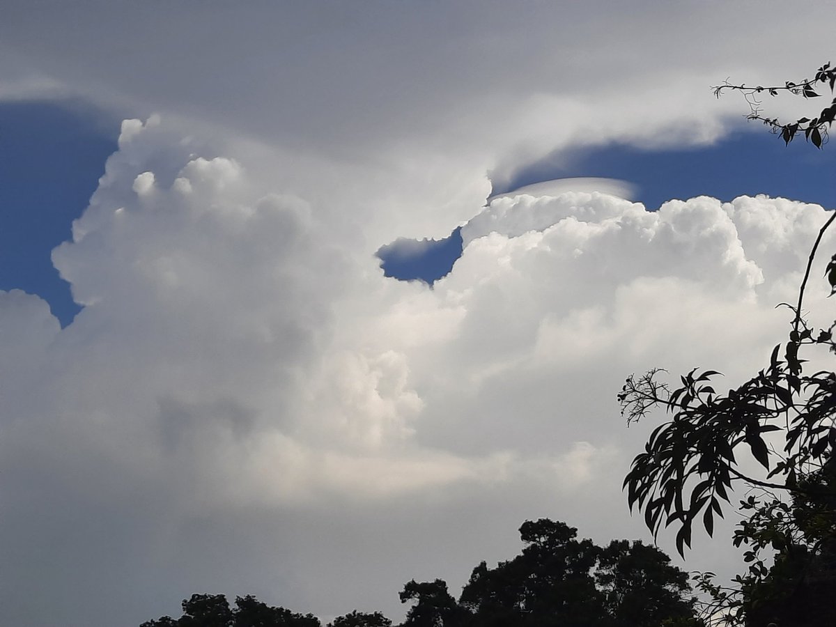 Another #JaxFL #Pileus over Southern storm #clouds #flwx @MikeFirstAlert #firstalertwx #AJSGArt