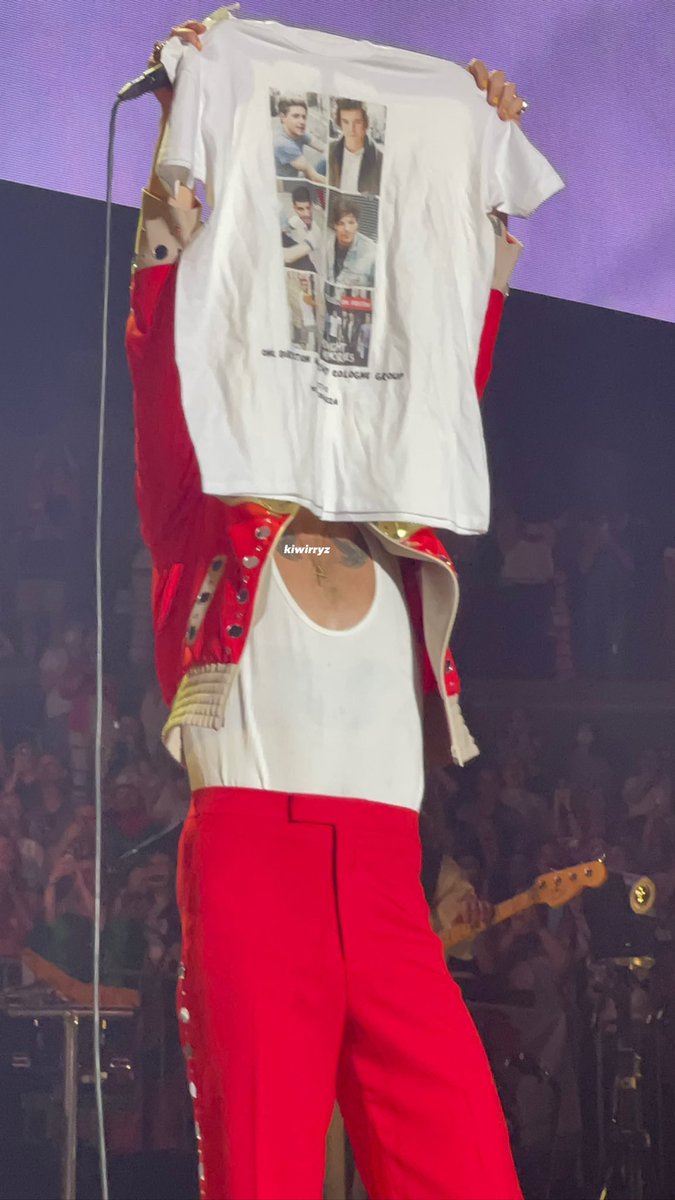 HLDTour's tweet image. Harry rising his One Direction shirt up for all to see 😁
#LoveOnTourCologne 
22.7.22

📸: kiwirryz