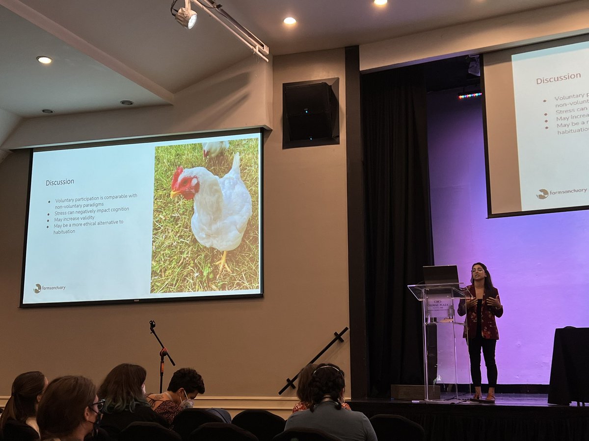 AnimalWelfarist's tweet photo. @PrasadShreck presented voluntary participation in a cognitive bias task as a feasible way to test personality in chickens from @FarmSanctuary. Really interesting to see #AnimalWelfare research from a sanctuary setting &amp; I look forward to future work! 🐔 🐓#ABS2022 https://t.co/8IfpMOq1xN