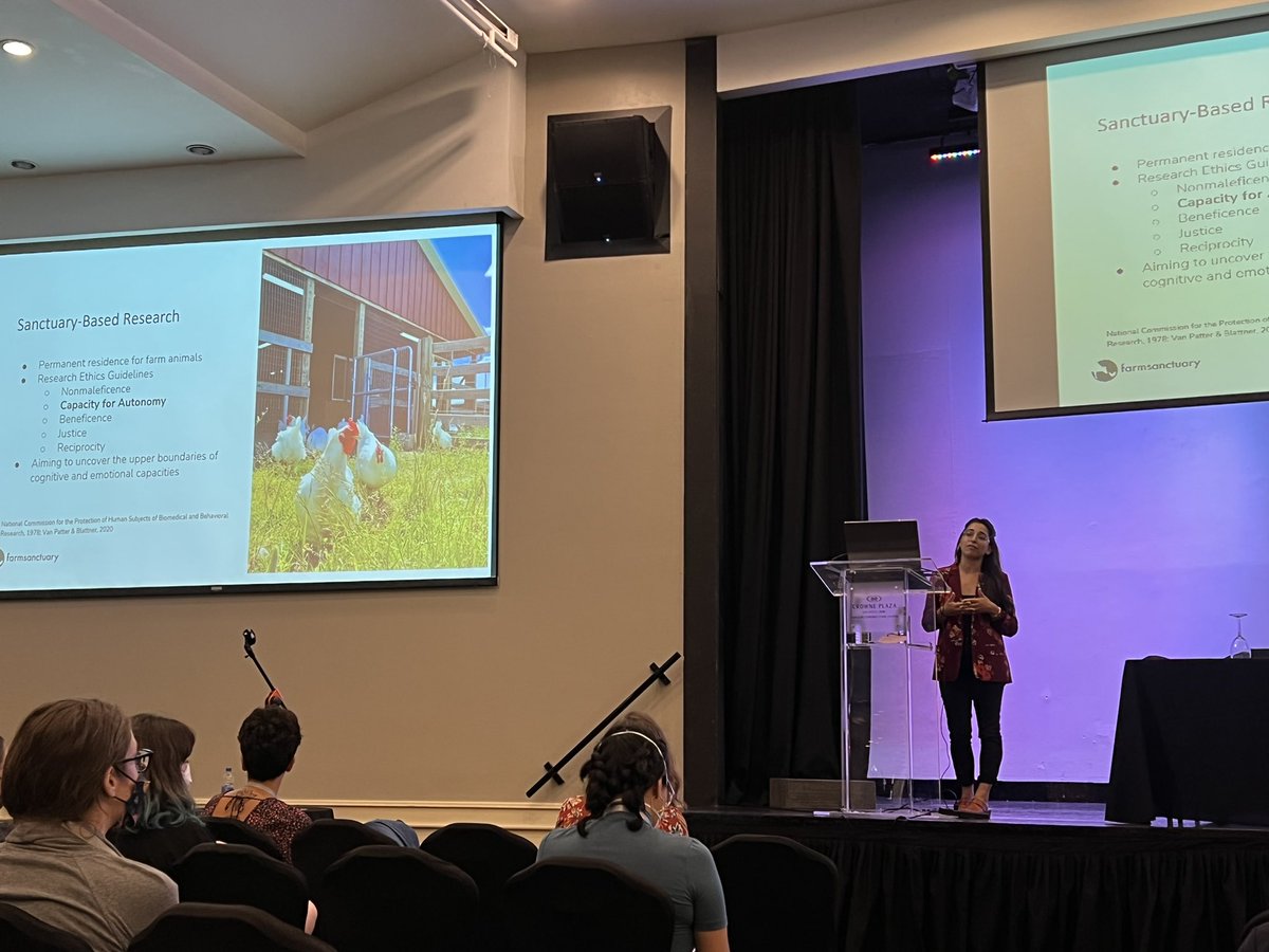 AnimalWelfarist's tweet photo. @PrasadShreck presented voluntary participation in a cognitive bias task as a feasible way to test personality in chickens from @FarmSanctuary. Really interesting to see #AnimalWelfare research from a sanctuary setting &amp; I look forward to future work! 🐔 🐓#ABS2022 https://t.co/8IfpMOq1xN
