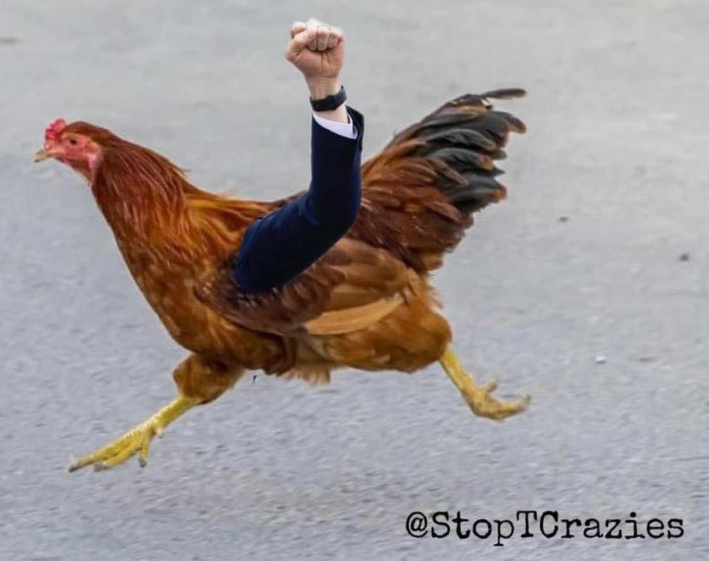 <a href="/JuanSaaa/">Juan Escalante</a> Gold