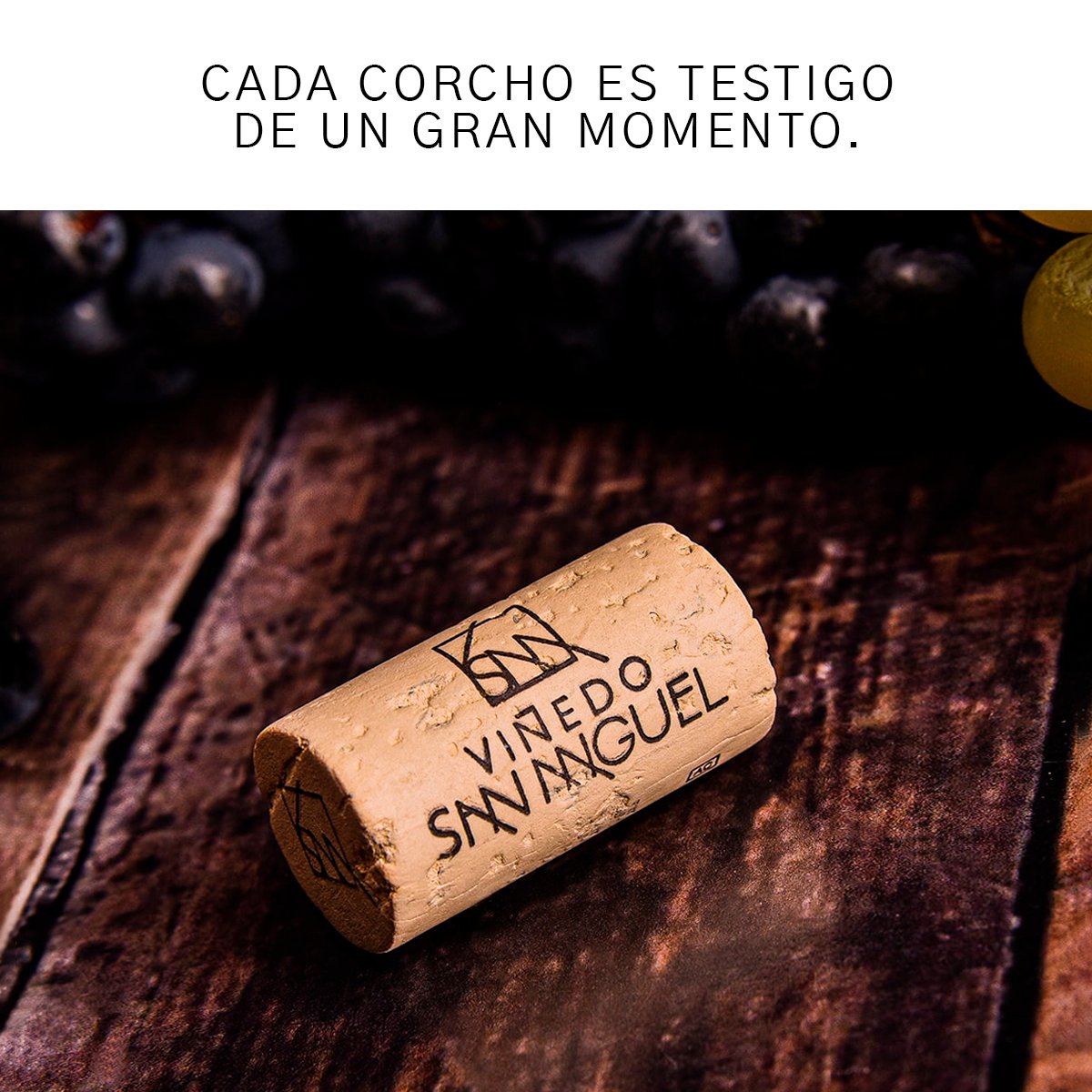 Viñedo San Miguel tweet media
