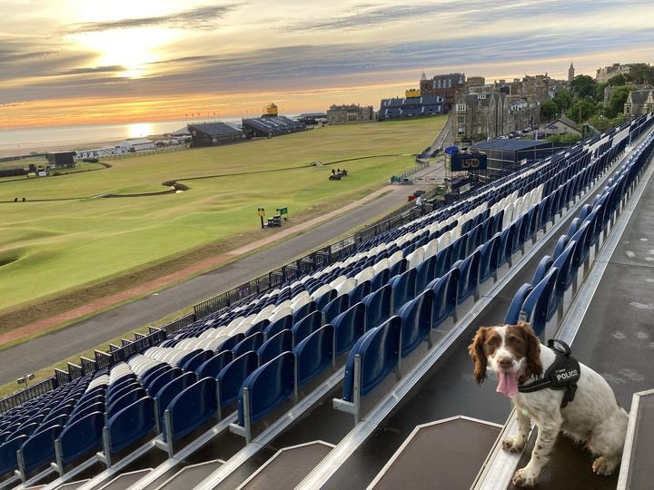 K9Scottish's tweet photo. EDIT! Apologies to #PDTilly and #PDRudi whose photos were missed but now included here 🤦🏻‍♀️ #TwitterNeedsAnEditButton https://t.co/EyeV4LzrOy