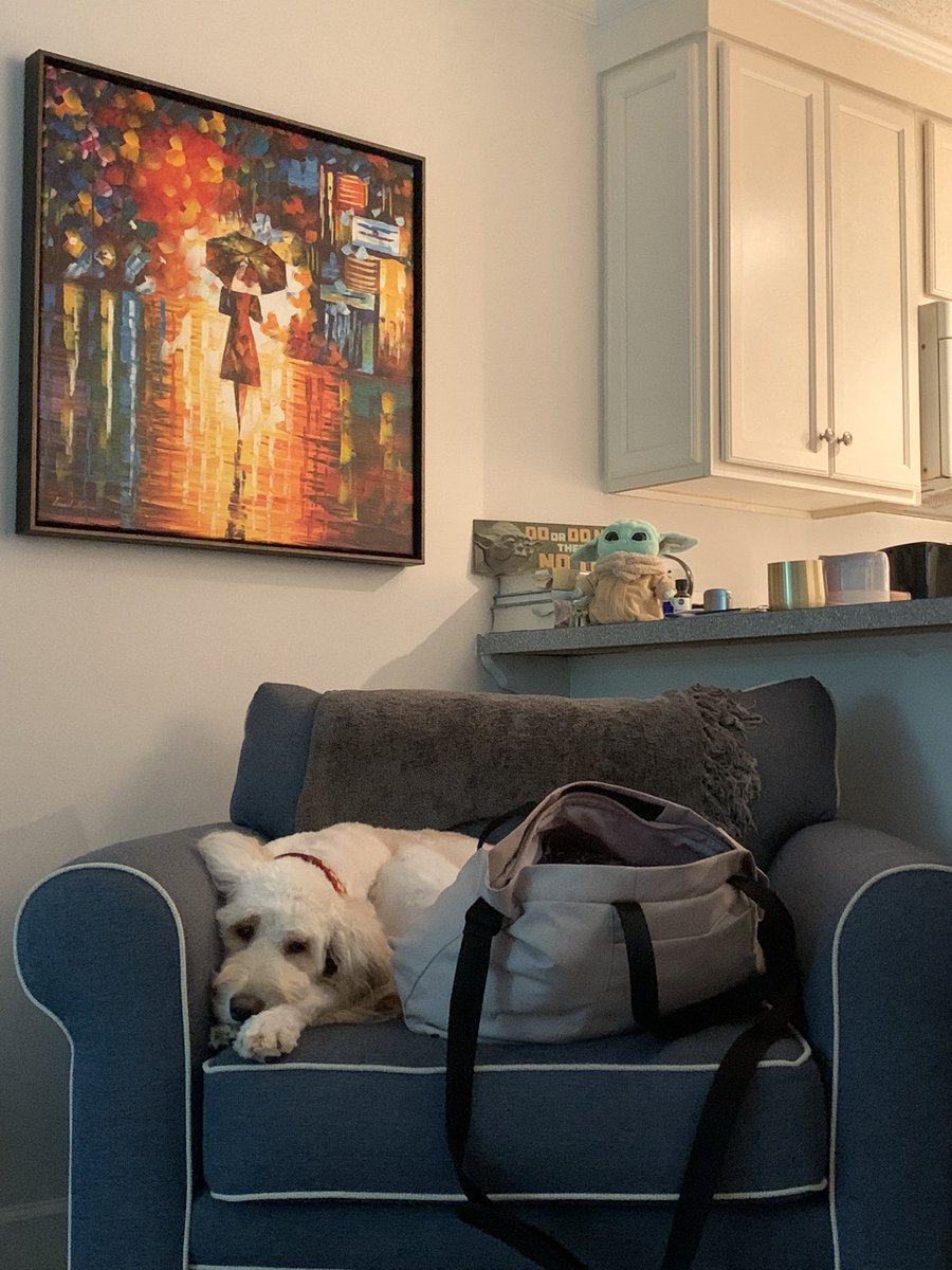 bayleekperry's tweet photo. Mika and the armchair. A love story. https://t.co/D0kaAyIU0b