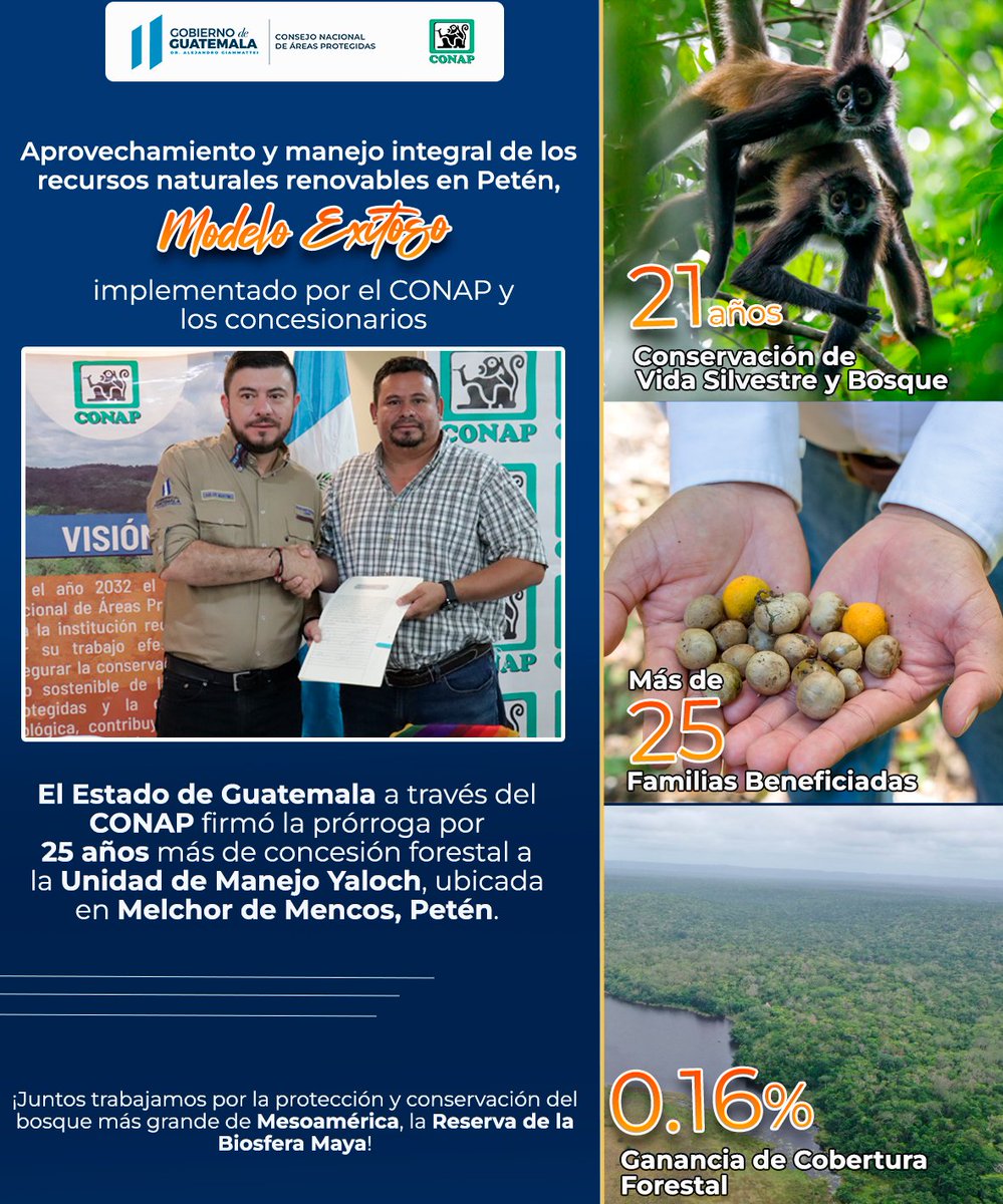 El Estado de #Guatemala 🇬🇹 a través del #CONAP firmó la prórroga por 25 años más de concesión forestal a la Unidad de Manejo Yaloch, ubicada en Melchor de Mencos, #Petén. ¡Juntos trabajamos por la protección y conservación del bosque más grande de Mesoamérica, la #RBM!