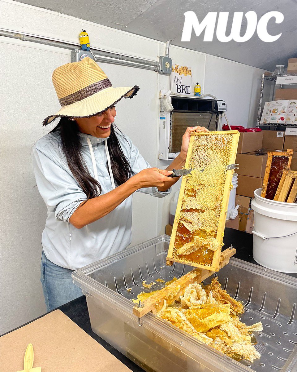 miawellnessclub's tweet photo. no bees, no food — wake up &amp; smell the honey! during our time at @whiteoakpasture, we got to see and learn first-hand from beekeeper luis, how raw honey and honeycomb is harvested, from the hive field to the production fun room. ☀️🐝🍯 #healthyforever #miamiwellnessclub https://t.co/ooF8y7qCVt