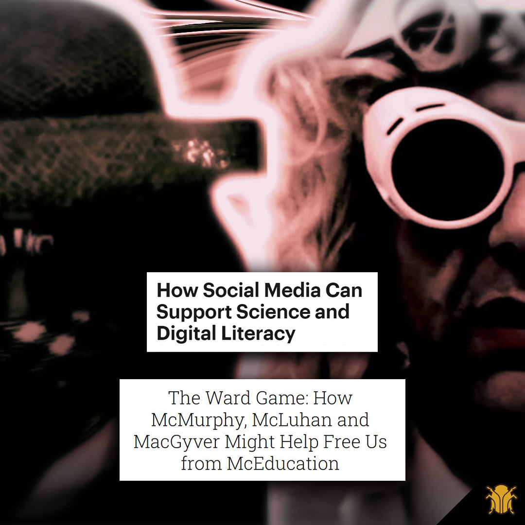Gold Bug Interactive tweet media