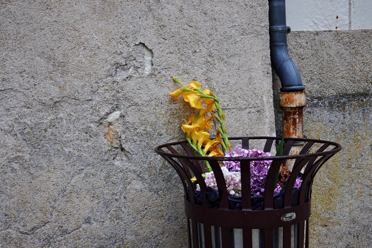 jan demol (@jandem0l) on Twitter photo 