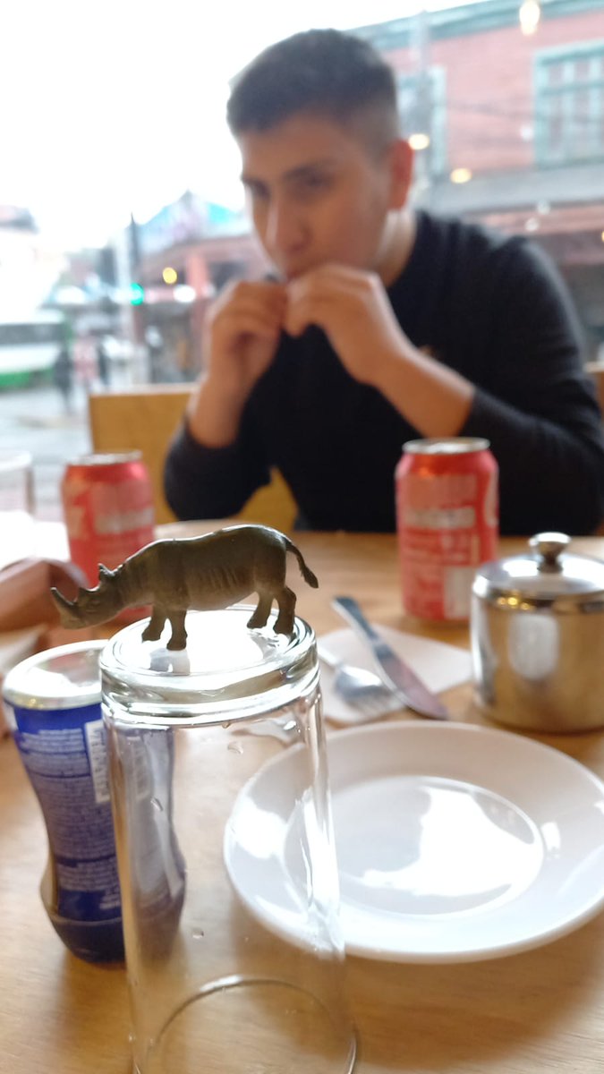 Se ven como la corneta pero los quiero mierdas qlas, ni posar pueden perros qlos