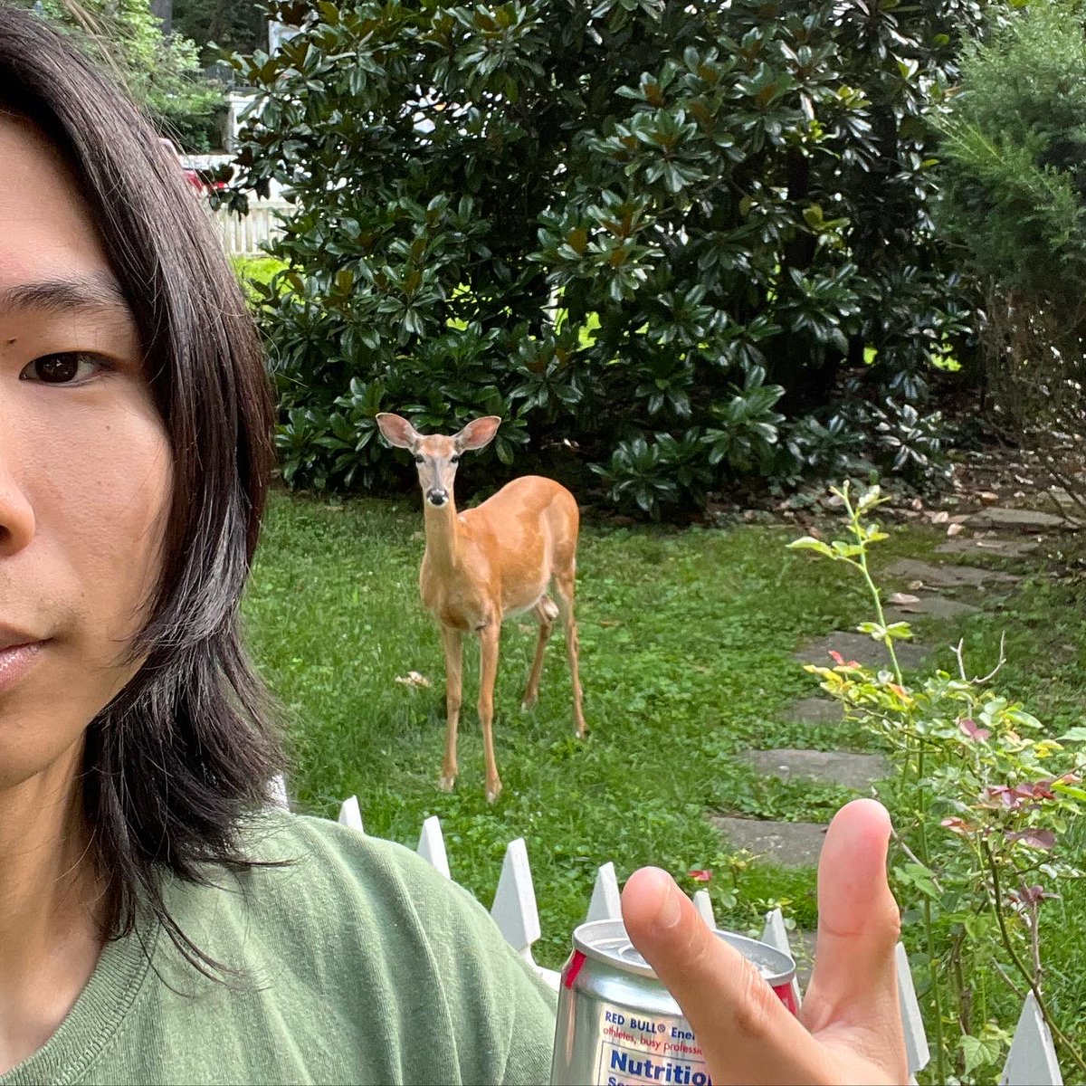 Modern Art tweet media