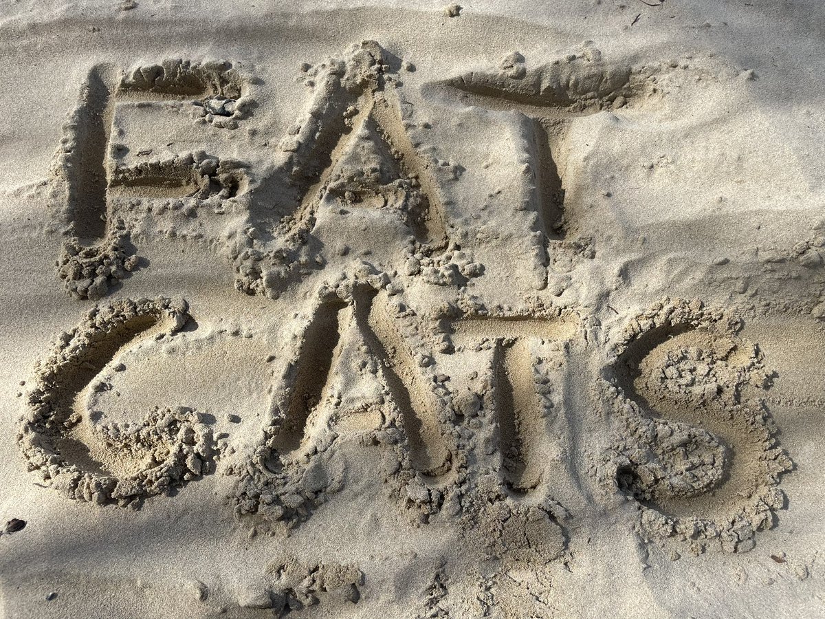 <a href="/FatCatsDao/">Fat Cats</a> <a href="/dylanshub_/">Dylan Shub</a>  when you go on a vacay and tag <a href="/FatCatsDao/">Fat Cats</a> to bring web3 with you