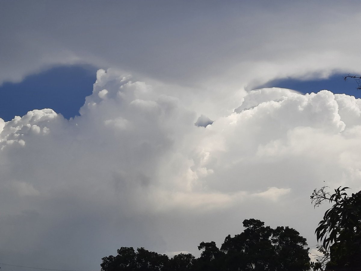 #JaxFL storm #clouds w/⚡️& #Pileus 👀 south #firstalertwx #StormHour #ThePhotoHour #AJSGArt #ViaAStockADay #nature #photography #flwx @luketaplin42 @WilliamBug4 @JAclouds @cloudymamma @enjoyscooking @mypicworld @tracyfromjax @AngelBrise1 @tonytewitty @atxwxgirl @PicPoet ⛈️Set1