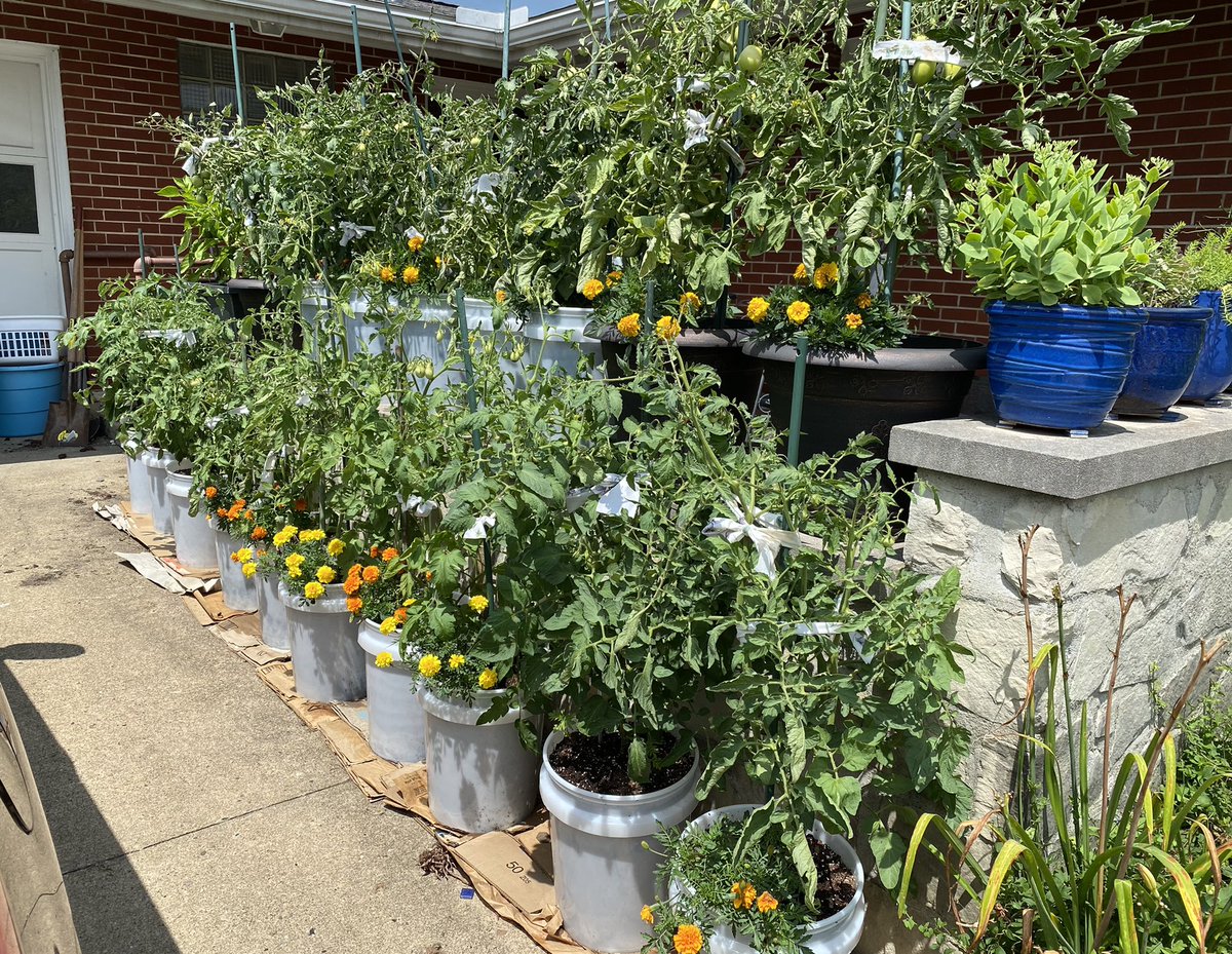 ArtAndMsG's tweet photo. The other side of my front patio wall, thanks to the #RHLSD_Colts Ag students! https://t.co/QBQvBMB6t3
