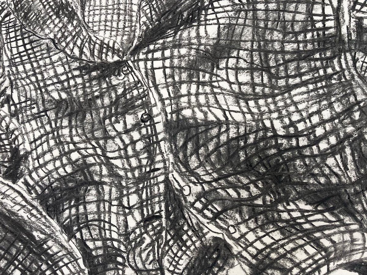 Detail of a charcoal drawing - big blouse passion