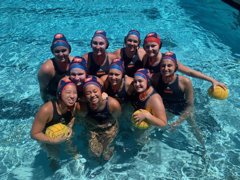 Moose Water Polo tweet media