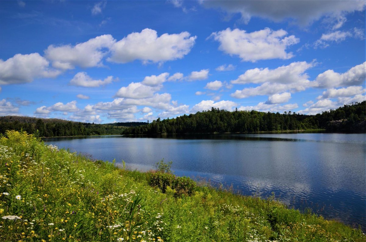 Elliot Lake is located between Sault Ste. Marie and Sudbury and features nearly 300km of trails through forests, riversides, swamps and lakesides. Be sure to check out Whiskey Lake on your ride through the trail!