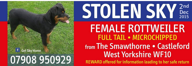 #Getskyhome #stolen 2015 still not home,please keep sharing/retweeting ,thank you