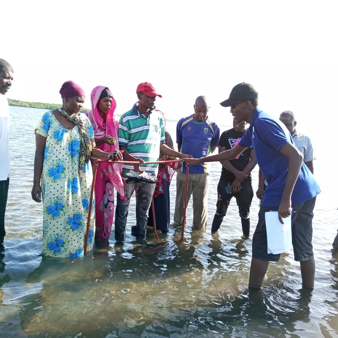 'It’s not about protecting nature from people but doing so and empowering communities who protect nature effectively.' ⁠💙—@ademolaAJAGBE, Africa Regional Managing Director, The Nature Conservancy👇
bit.ly/3ITzV0Q 

@Nature_Africa 
@SoahubTz 
#SeagrassUs 
#SeagrassOcean