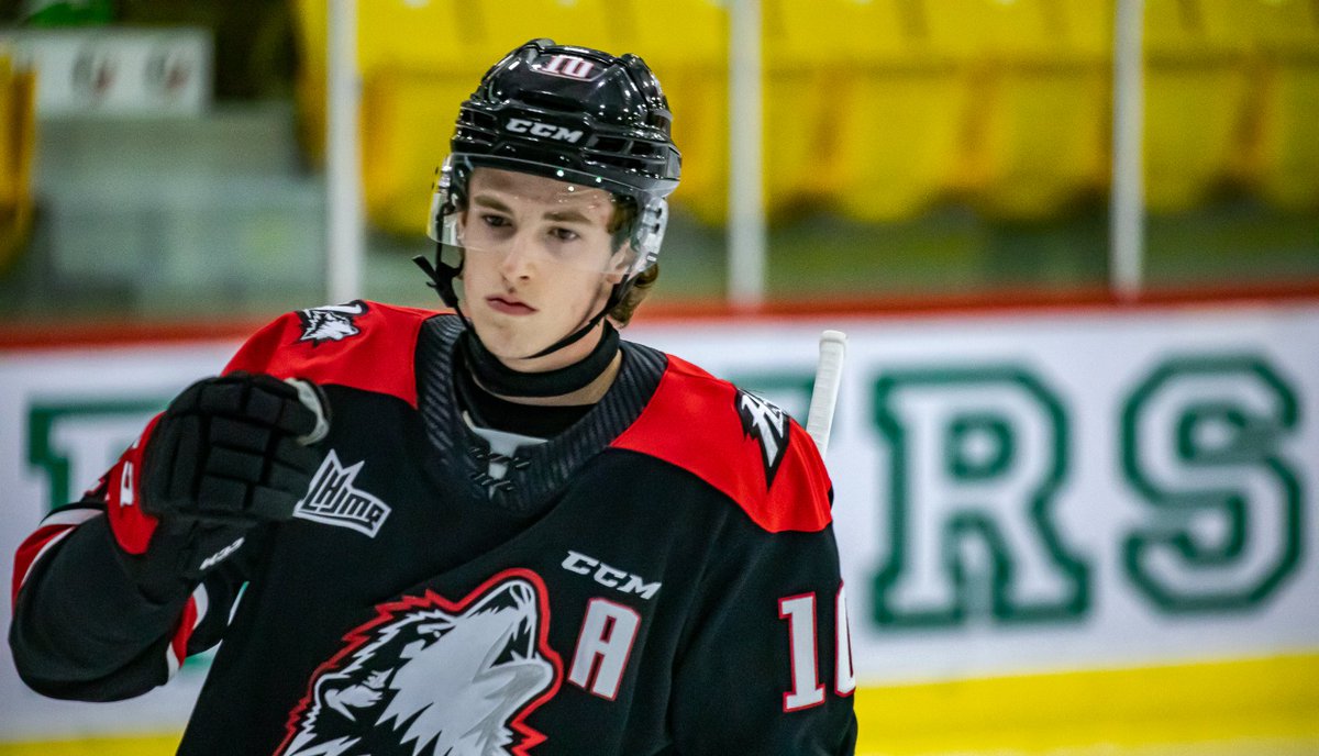 "To wear an NHL team's logo, especially Tampa Bay's, you can't really describe it": Riverview defenceman Dyllan Gill received his first taste of the NHL with the Tampa Bay Lightning last week, and now he wants more.
    tj.news/times-and-tran…