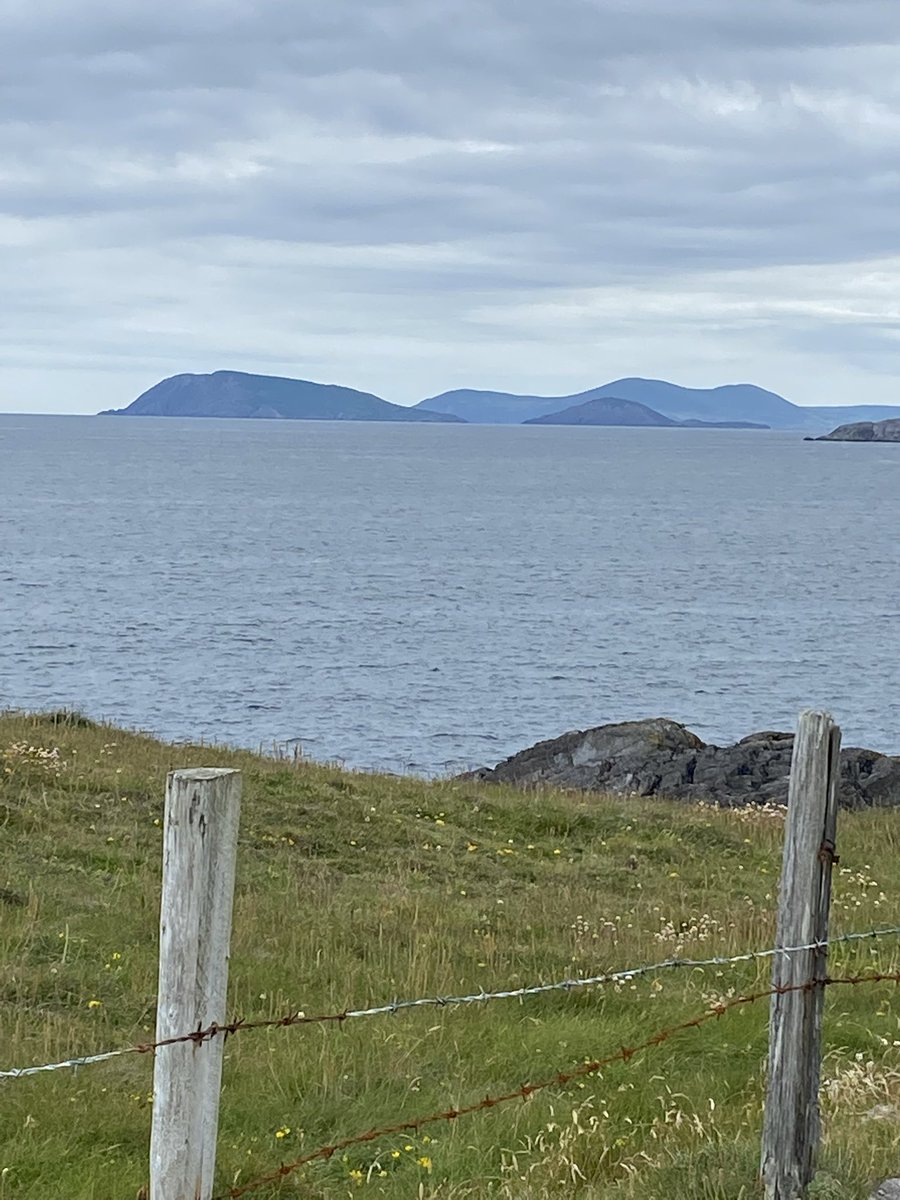 Mollkos's tweet photo. Day 1299 of #1300daysofwalking #round2crew shorter walk today and the rain has arrived! https://t.co/M1jNRNEeAf