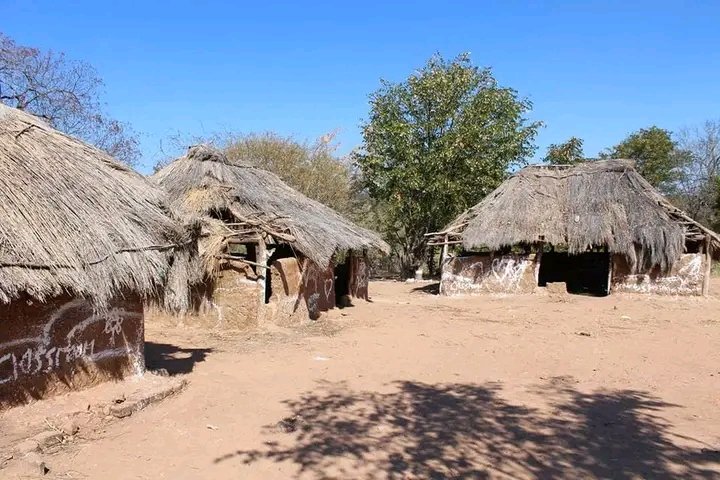 Mosheni93's tweet photo. @nickmangwana @edmnangagwa Xkul https://t.co/Vc41eW9Mwl