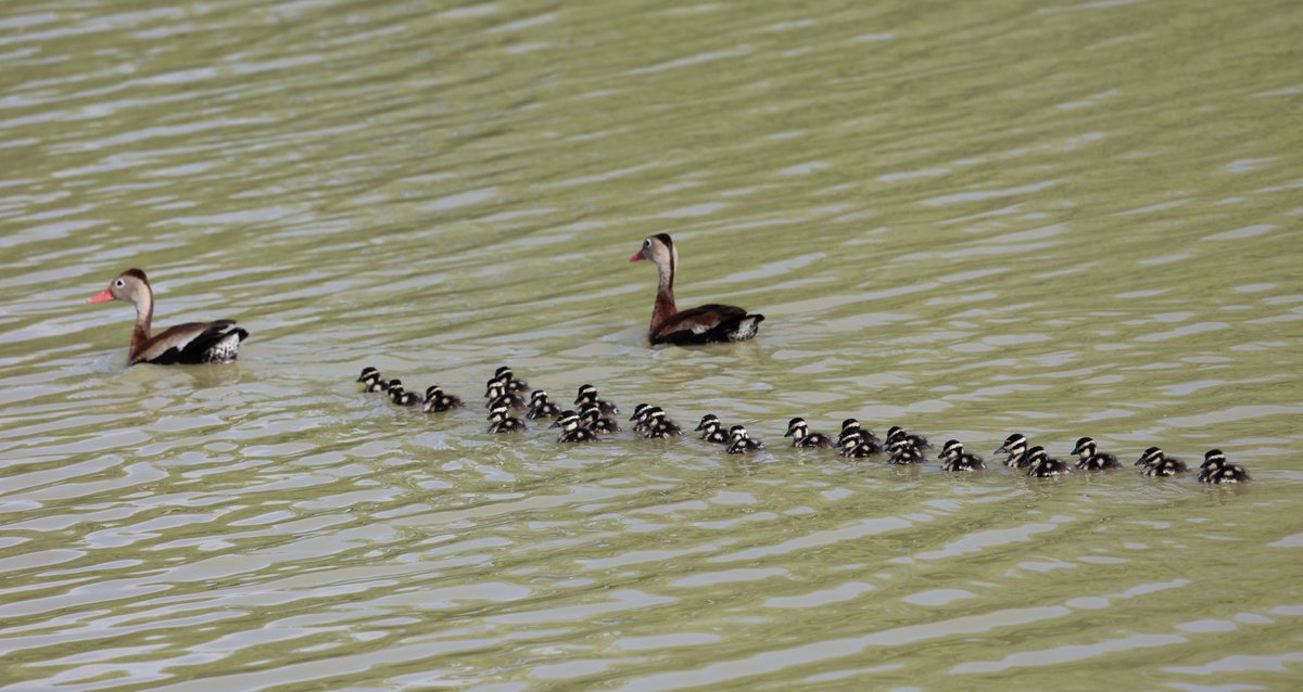 Tweeting because it makes me happy