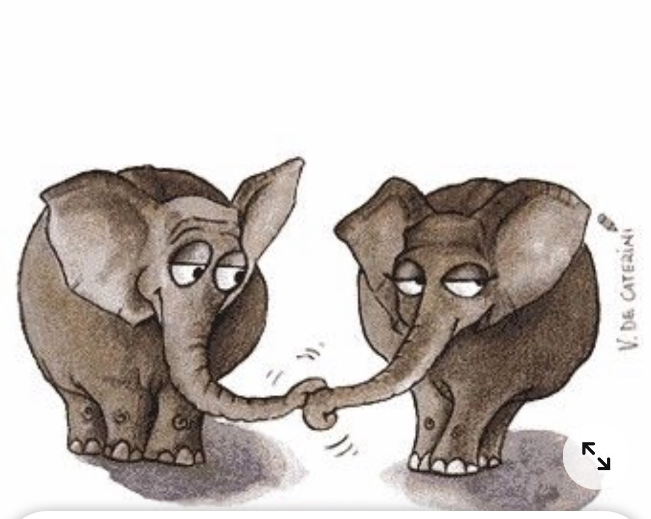 Я и мой слон. Слоники любовь. Открытки для примирения с любимым. Открытка давай мириться. Смешные картинки для примирения.