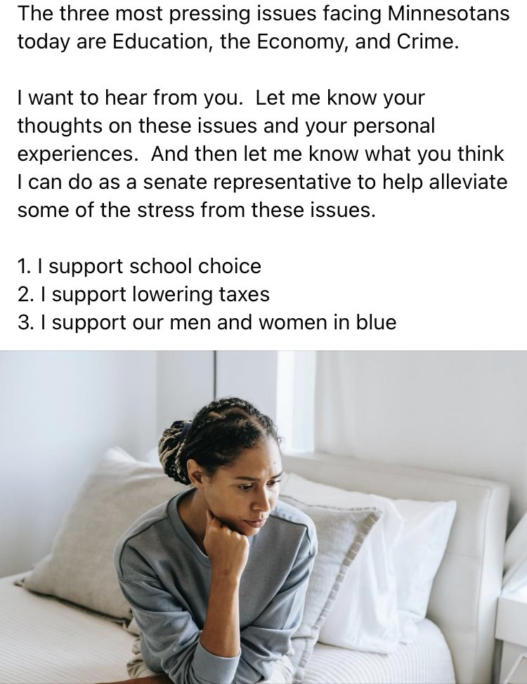 JimBeanMNsenate's tweet photo. Lower taxes, fight inflation, parents choice in education, and safer cities #RedWave2022 https://t.co/jnehNivdL1