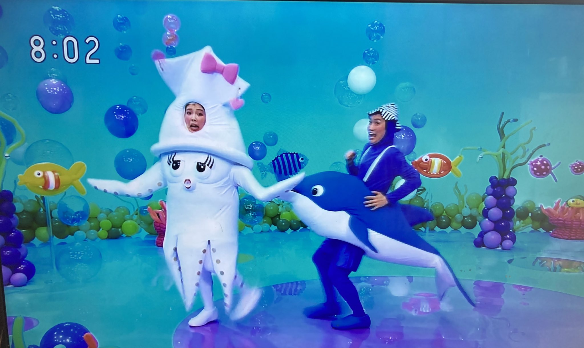 Jiji妻 ゆうちいろうお兄さんとまやお姉さんのイカイカイルカ おかあさんといっしょ T Co Edenbwuwlk Twitter