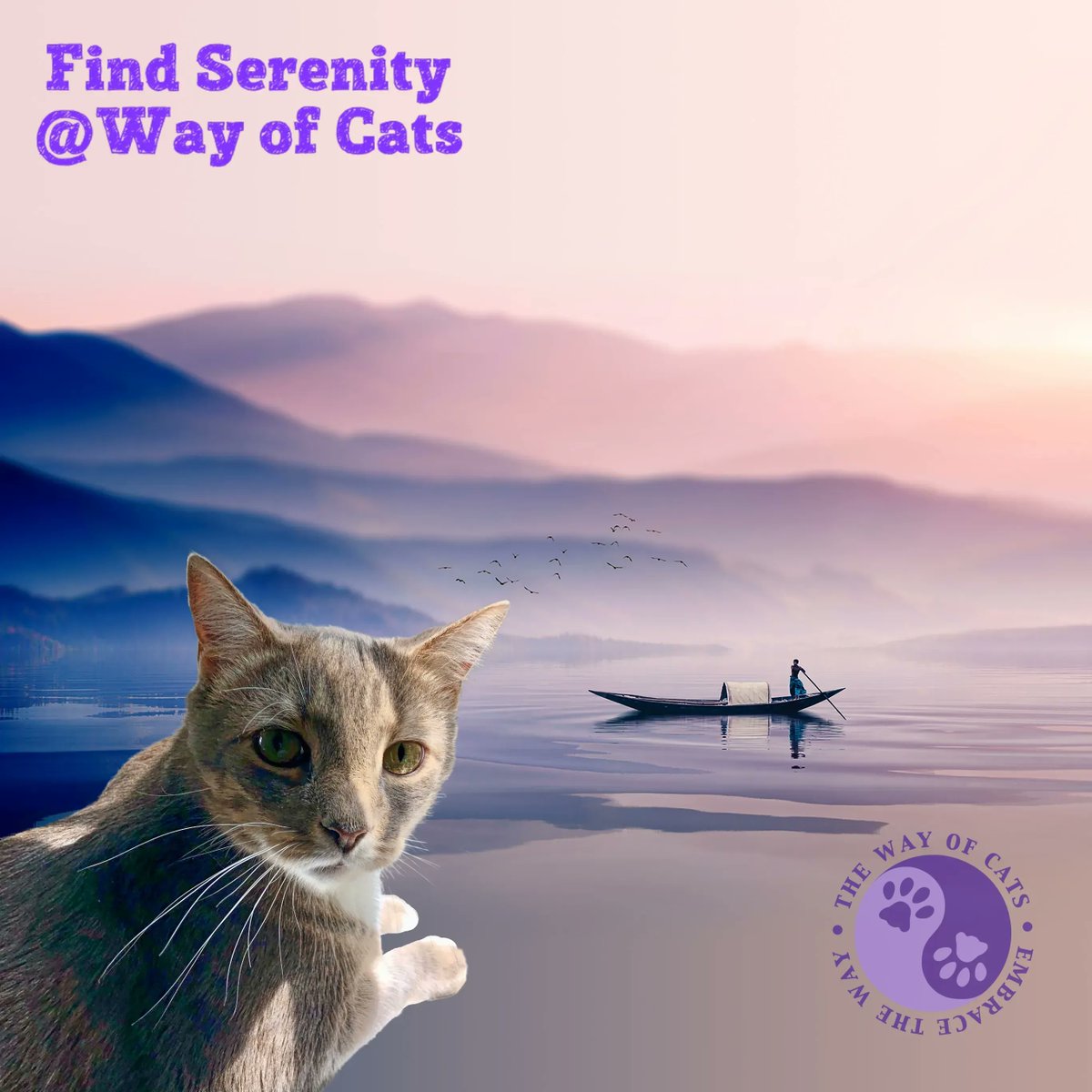 WayofCats's tweet photo. Lou wishes everyone a serene weekend. Or as close as we can get.
#CatsofTwitter #LoutheCreamfilledCat #CatTypes #BestCatLife https://t.co/cu36QtI7Ar