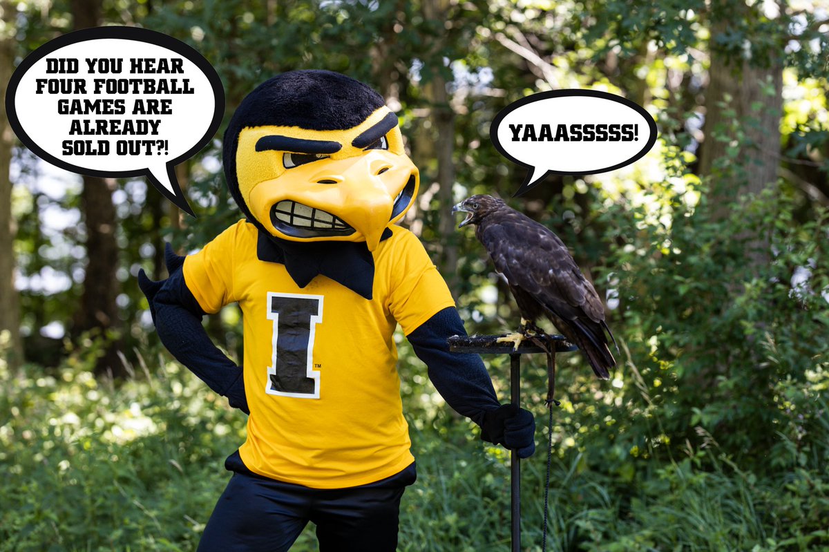 The Iowa Hawkeyes tweet media